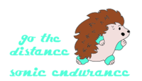 Go The Distance with Sonic Endurance - Katy, TX - race112809-logo.bG0g1r.png