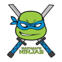 Nathan's Ninjas Family Fun Run 2022 - Canton, MI - race114192-logo.bG0Ifr.png