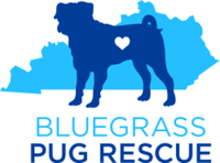 Bluegrass Pug Run 5K - Louisville, KY - race113939-logo.bGYQM8.png