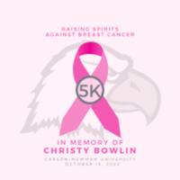 Raising Spirits Against Breast Cancer in Memory of Christy Bowlin - Jefferson City, TN - race115952-logo.bI2a78.png