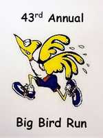 Big Bird Run - 43rd Annual - Roseville, MI - ec9f657a-30f5-41a4-9e49-959afc2cb7b1.jpg