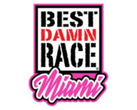 Best Damn Race Miami (Virtual) - Homestead, FL - race120962-logo.bHEfDi.png