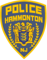 HPD's Home and School Holiday 5K and Fun Walk - Hammonton, NJ - race121301-logo.bHIQGD.png