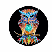 Owls Roost Rumble - Greensboro, NC - Owls_roost.png