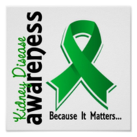 Kidney Disease Awareness - Webster, MA - race124906-logo.bIjmGg.png