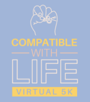Compatible with Life Virtual 5k - Any Town, SC - race128778-logo.bIwfc2.png