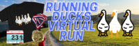 Running Ducks Virtual Run 5K/10K/13.1 - Anywhere Usa, TX - race129153-logo.bIx8J5.png