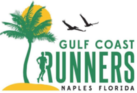 GCR Summer Run for Fun - Naples, FL - race128636-logo.bIujlU.png