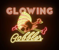 Glowing Gobbler 5K - Newport News, VA - race133002-logo.bIZWth.png