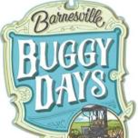 Barnesville Buggython Road Race 5K and 10K - Barnesville, GA - race134336-logo.bI9sp-.png