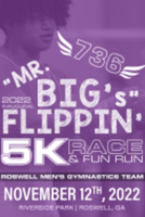 Mr. Big's Flippin' 5k - Roswell, GA - race135200-logo.bJd8Vz.png
