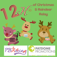 12ks of Christmas and Reindeer Relay - Knoxville, TN - race135442-logo.bJdINz.png