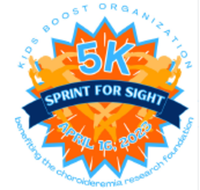 Sprint for Sight 5K - Watkinsville, GA - race135740-logo.bJf2mr.png