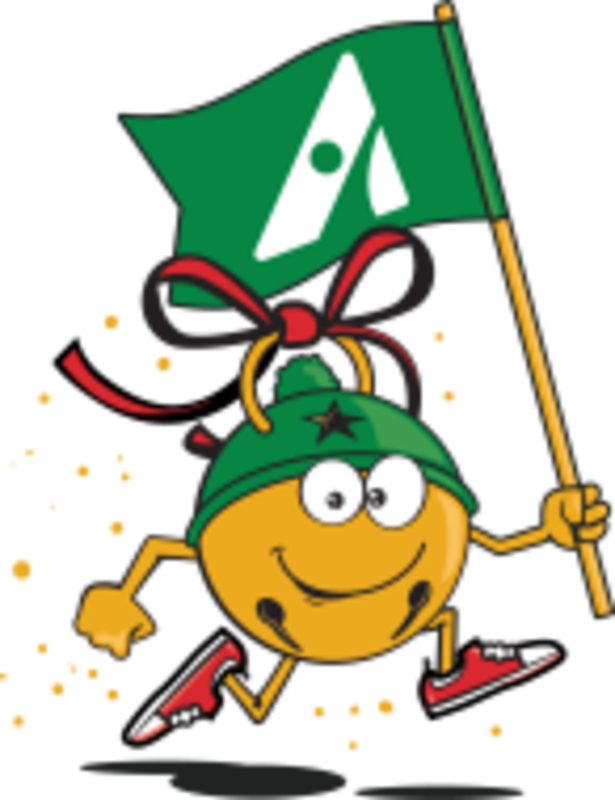 Jingle Bell Run Bellingham Bellingham, WA Running