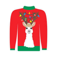 Ugly Sweater 5K and Family Fun Run - Windham, ME - race138333-logo.bJvAeN.png