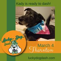 Lucky Dog Dash 5k - Thornton, CO - 2023_LDD_1080_Kady.jpg