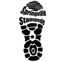 Springville Stampede 5K and Walk - Springville, NY - race141802-logo.bJ0rBT.png