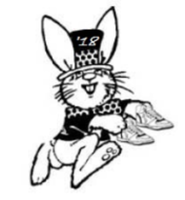 Annual Beverly Waterford BunnyHop 5K Walk/Run - Beverly, OH - race142217-logo.bJ1d0w.png