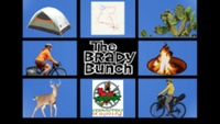 Brady Bunch Bikepacking Bash - Brady, TX - race147188-logo.bKuTJu.png