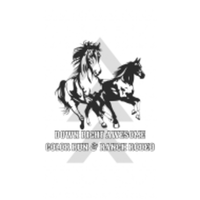 Down Right Awesome Color Run and Ranch Rodeo - Buffalo, TX - race149591-logo.bKNhvu.png