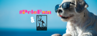 2nd annual #PeloFam Dog Dayz of Summer benefiting the St. Louis Stray Rescue - Saint Louis, MO - race148459-logo-0.bKE3UZ.png
