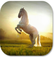Race of the Redeemed -White Horse - Fair Grove, MO - race149794-logo.bKOIqY.png