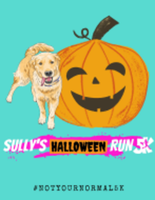 Sully's Halloween Run 5K - Jupiter, FL - race149772-logo.bKY5HL.png