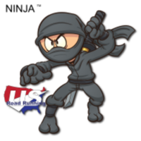 Ninja 5K, 10K, & Half Marathon at Lake Beresford Park, Deland, FL (3-9-24) RD1 - Deland, FL - race155095-logo.bLmRoM.png
