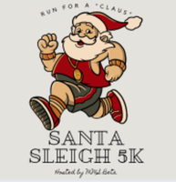 The Santa Sleigh 5K - Metter, GA - race156951-logo.bLAIJY.png