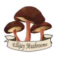 Ellijay Mushrooms Fungi 5K - Ellijay, GA - race157740-logo.bLGZyJ.png