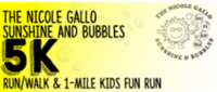 Nicole Gallo Sunshine and Bubbles 5K - Drexel Hill, PA - bubbles_logo.png