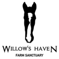 Willow's Haven Farm Sanctuary "Hoof and Sole 5K" - Timberville, VA - race159302-logo.bLX_wK.png