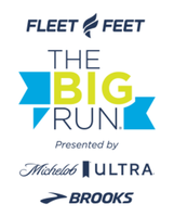 The Big Run Presented by Michelob Ultra and Brooks - Asheville, NC - race163215-logo-0.bMdWm2.png