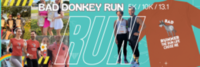 Bad Donkey Runners Club Virtual Run NYC - New York City, NY - race163433-scaled-logo-0.bMiwge.png