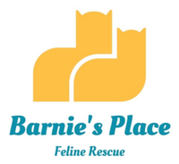 Barnie's Place 5K Race: Go the Extra Mile - Columbia, MO - race162913-logo-0.bMcc_k.png
