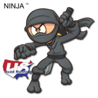 Ninja 5K, & 10K at Midlothian Mines Park, Midlothian, VA (11-9-2024) - Midlothian, VA - race163793-scaled-logo-0.bMiwhg.png