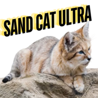 Sand Cat Ultra - Zion National Park, UT - genericImage-websiteLogo-145704-1718306633.0466-0.bMA0Dj.png