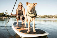 Sups and Pups at Sunset - San Diego, CA - genericImage-websiteLogo-229680-1714517711.7527-0.bMmxBp.jpg