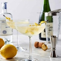 French Cocktails Mixology - San Diego, CA - genericImage-websiteLogo-229699-1714579451.7279-0.bMmMF7.jpg