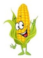 Run for the Corn - Eden, NY - genericImage-websiteLogo-233771-1720965959.1577-0.bMK9Th.jpg
