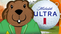 Fall Bar Golf - Evansville, IN - genericImage-websiteLogo-231492-1721129489.4428-0.bMLLOr.png