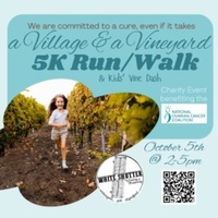 A Village & A Vineyard 5K Run/Walk and Kids' Vine Dash benefiting the National Ovarian Cancer Coalition - Nevada, OH - genericImage-websiteLogo-234711-1724338268.6363-0.bMX1bC.jpg