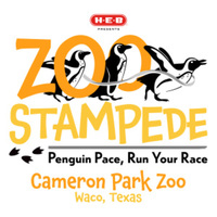 H-E-B Cameron Park Zoo Stampede Presented by H-E-B -  Partners Page - Waco, TX - genericImage-websiteLogo-78657-1725503267.3826-0.bM2rCJ.jpg