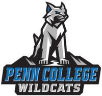 Wildcat Campus 5K Glow Walk/Run - Williamsport, PA - genericImage-websiteLogo-238136-1726846487.7383-0.bM7zyx.jpg