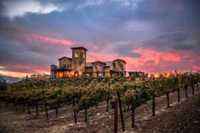 Temecula Wine Tour - Coronado, CA - genericImage-websiteLogo-237574-1726166288.3922-0.bM4Zuq.jpg