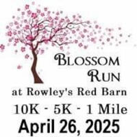 Blossom Run 10K, 5K, 1 Mile - Santaquin, UT - blossom-run-10k-5k-1-mile-logo.jpg