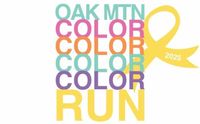 Oak Mountain Color Run 2025 - Pelham, AL - 4406b44f-5615-409d-b9e1-1598e10782e7.jpg