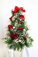 Holiday Floral Arrangement - Coronado, CA - genericImage-websiteLogo-240279-1729805602.9353-0.bNgR0I.jpg