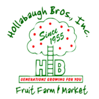 Hollabaugh 5K - Biglerville, PA - genericImage-websiteLogo-242663-1732656692.0963-0.bNrJ40.png