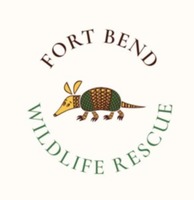 Run for the Wildlife - Needville, TX - genericImage-websiteLogo-242919-1733857198.2218-0.bNwi-U.jpg